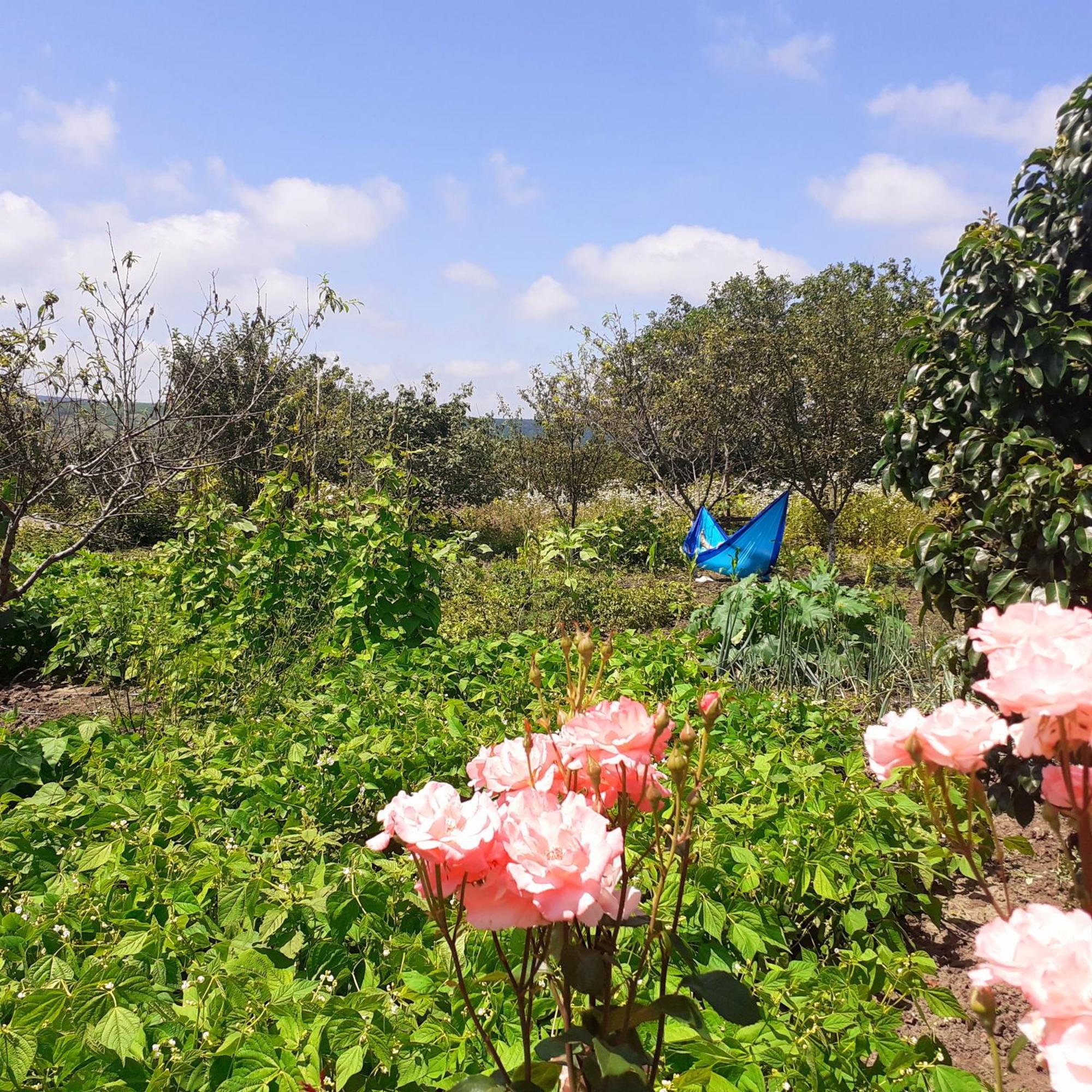 דירות Sion In Ulmu מראה חיצוני תמונה